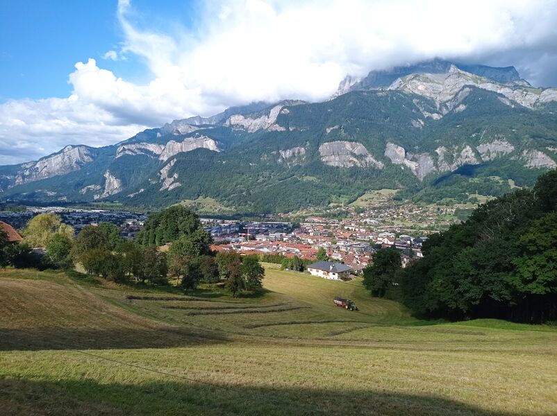 sentier pédestre : balade au Bois de Fessy