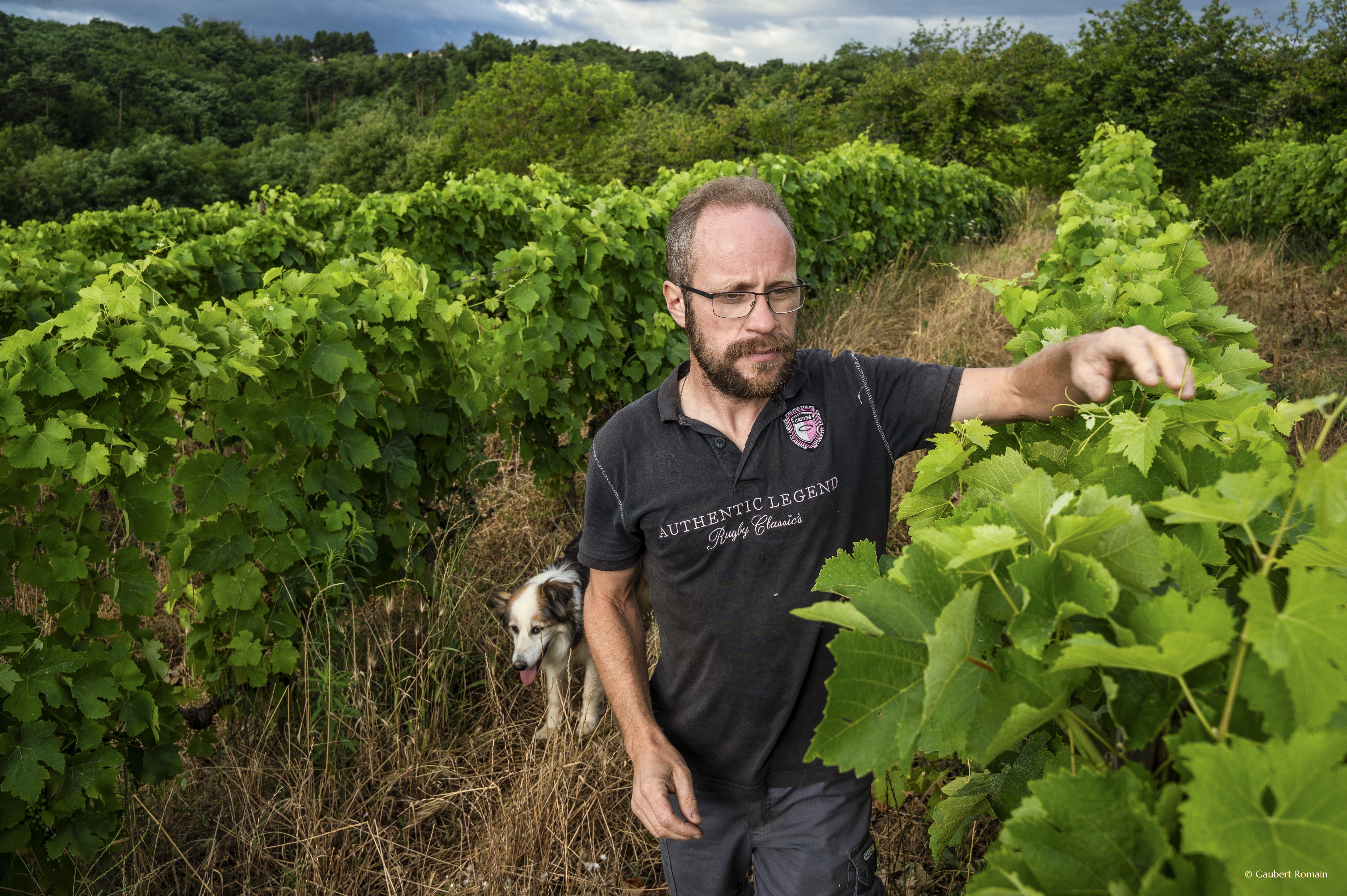 Domaine des Bardes_Eclassan