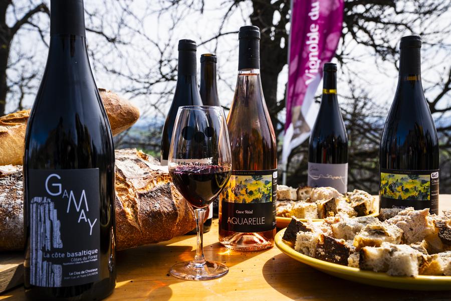 Dégustation de vins et planche apéro_Boisset-Saint-Priest