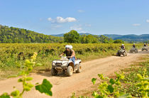 Quad dans les vignes Château de l'Aumérade