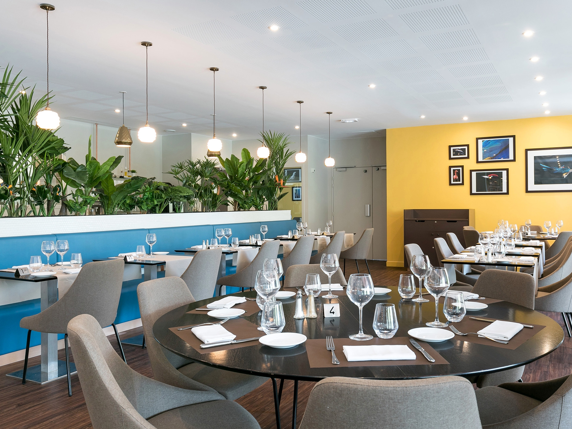 Birdy restaurant - photo 5