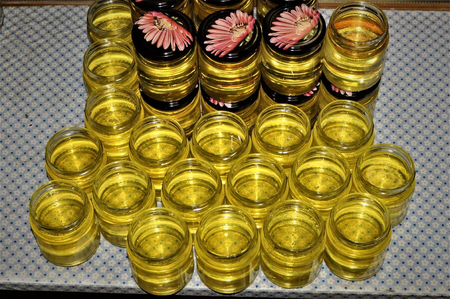 Production de miel local