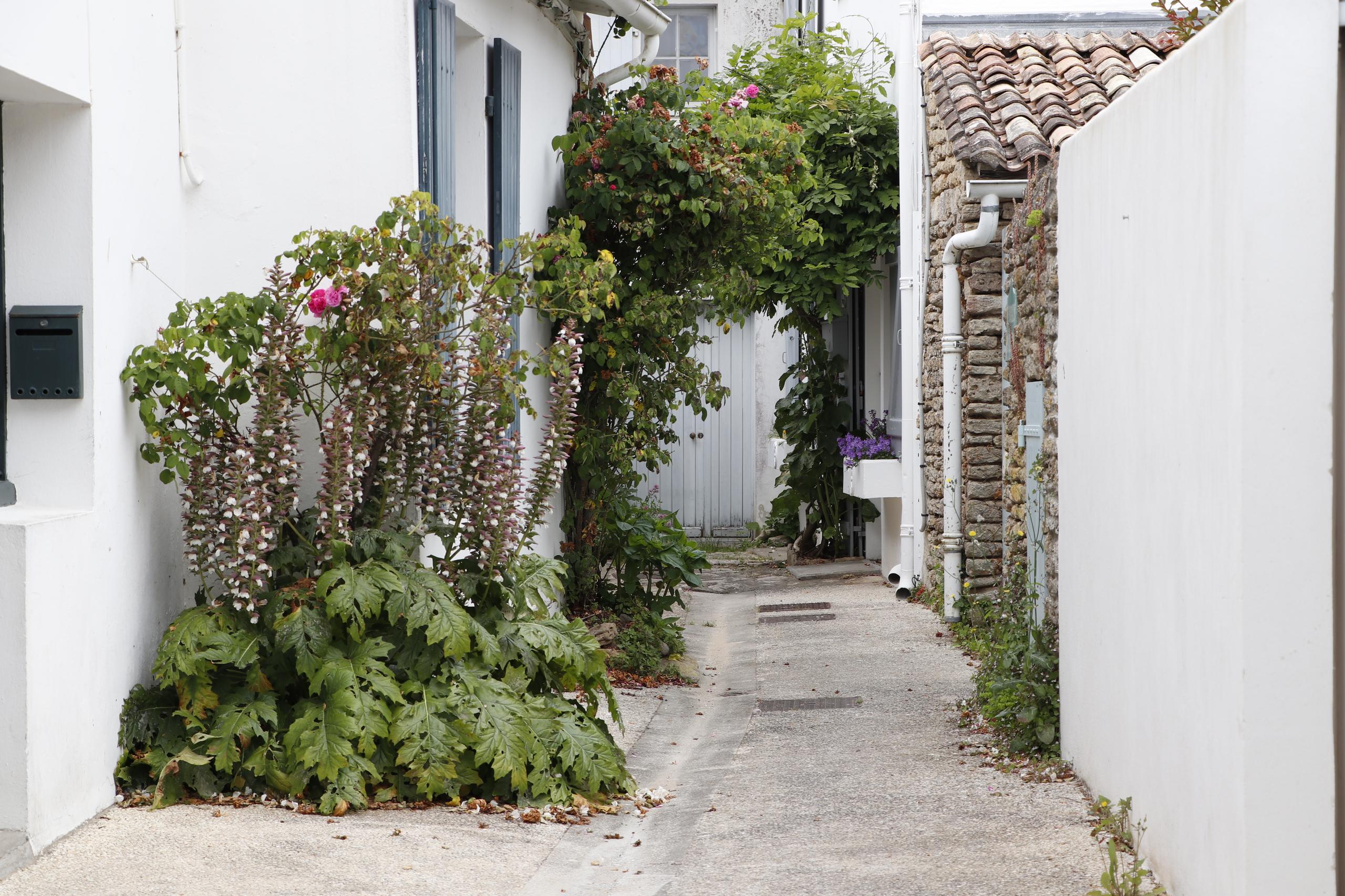 Balade accessible aux Portes-en-Ré