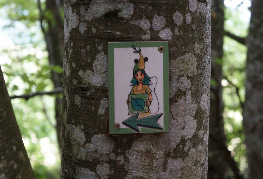 Sylvaine_fée_forêt