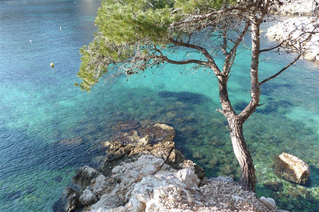 La Ribartille, Roquefort-la-Bédoule - photo 27