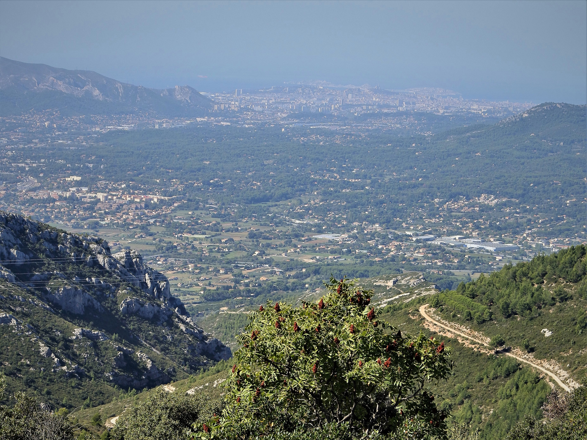 Le vignoble de la Sainte-Baume, un terroir sacré