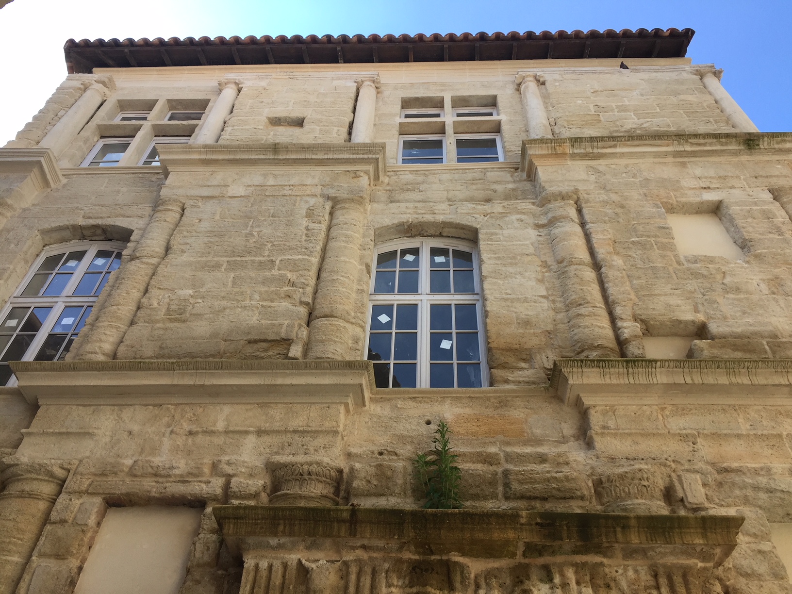 La maison dite de la Reine Jeanne  France Provence-Alpes-Côte d'Azur Vaucluse Pertuis 84120