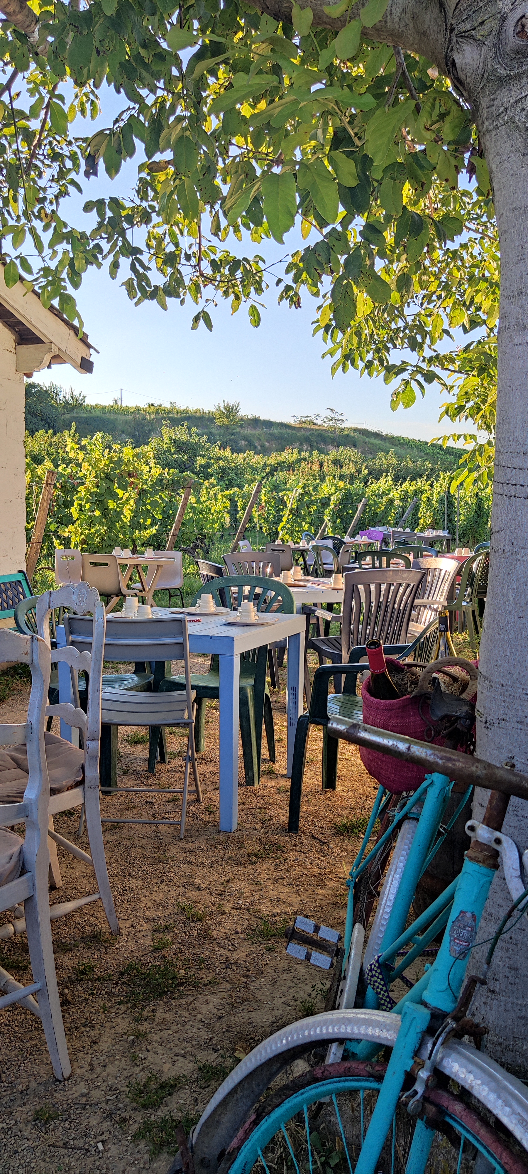 La balade du canotier et du petit train des vignes
