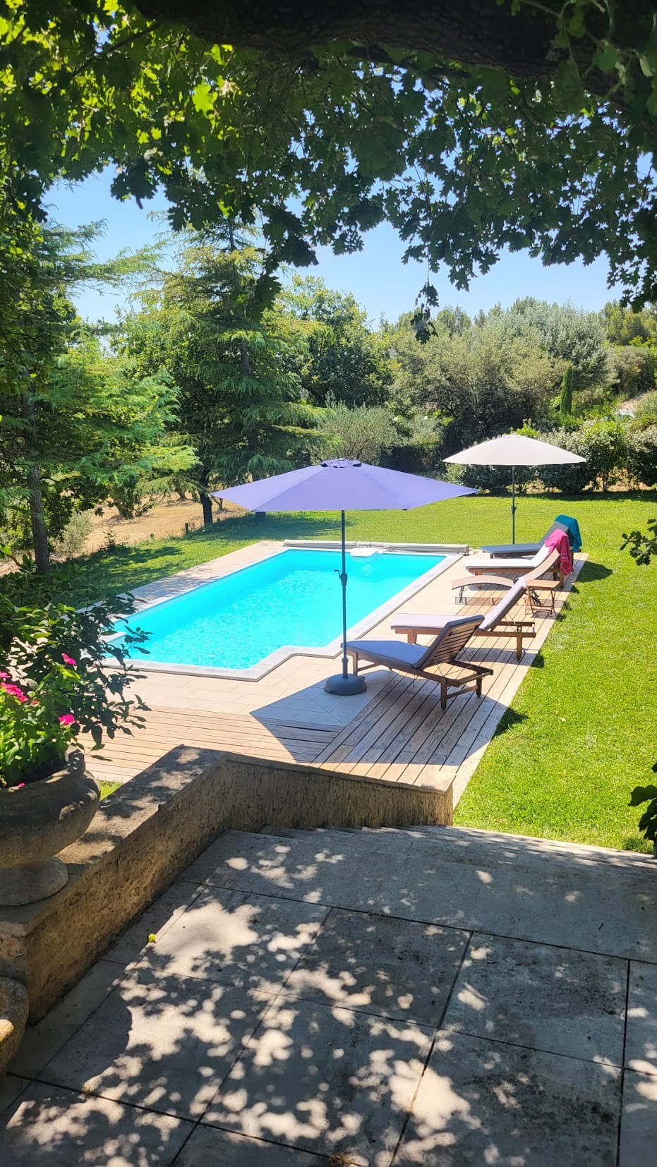 L'Oliveraie - photo 5