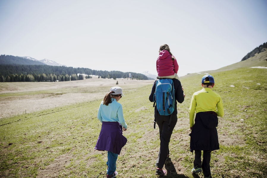 Plateau des Glières