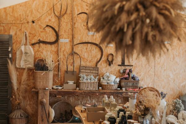 Visite d'un champ de Lavande Aix en Provence