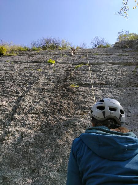 Encadrement escalade