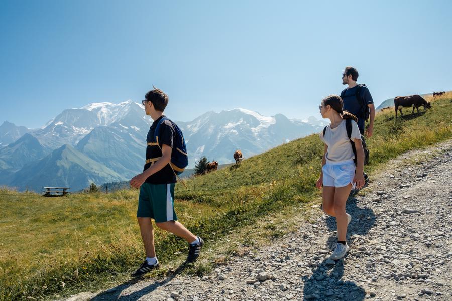 Le Lac de Joux depuis le Bettex