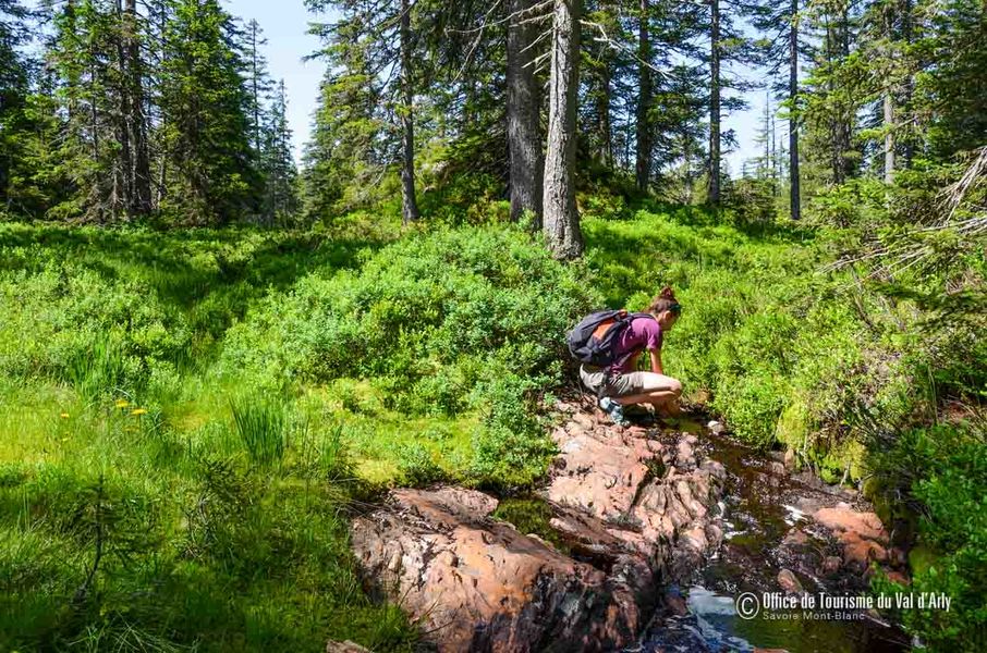 Sentier des Arpelières