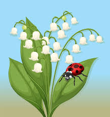 Fête du brin d'aillet_Condac