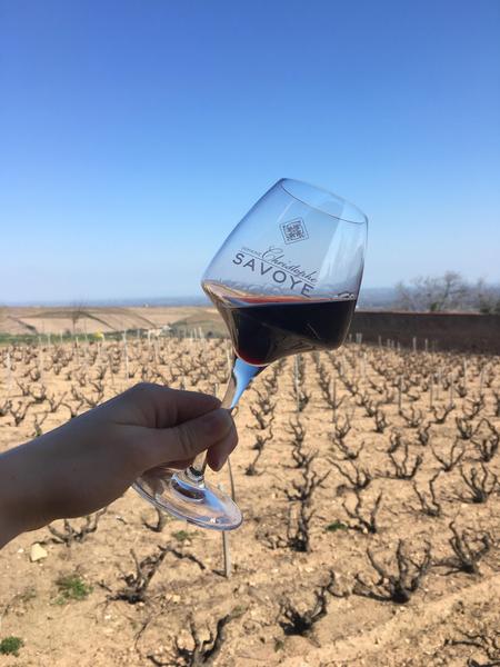 Vin randonée beaujolais domaine Christophe Savoye