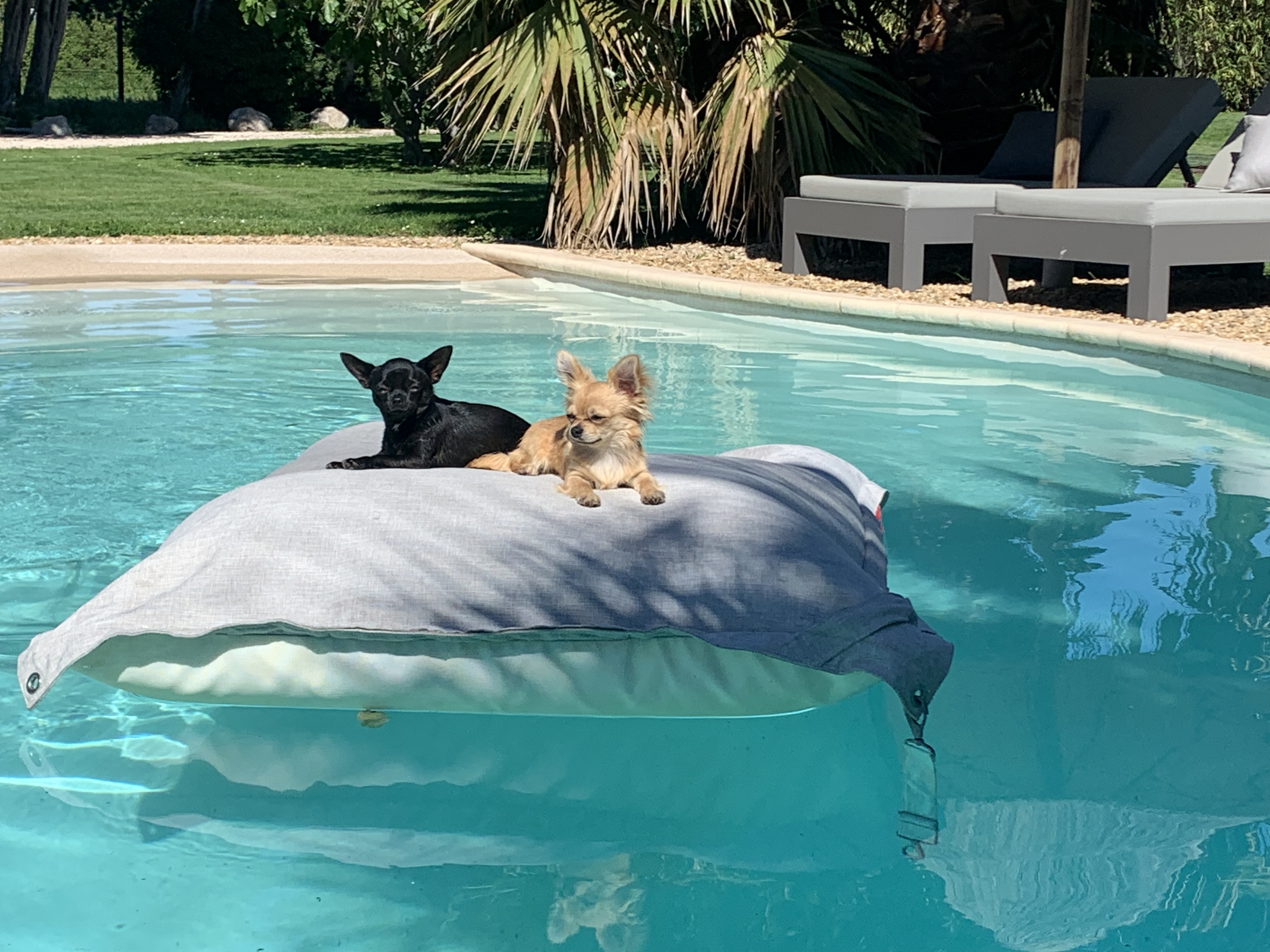 Gîte des Limites, Rognonas - photo 12