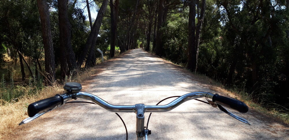 Chemins VTT / Gravel bike à La Londe les Maures