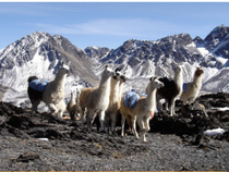 Projection documentaire - "La Bolivie" - Bernard Bruel_Montrond-les-Bains
