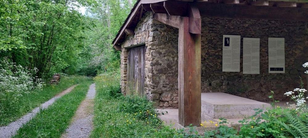 Visites du château du Pin, jardins, expositions_Fabras