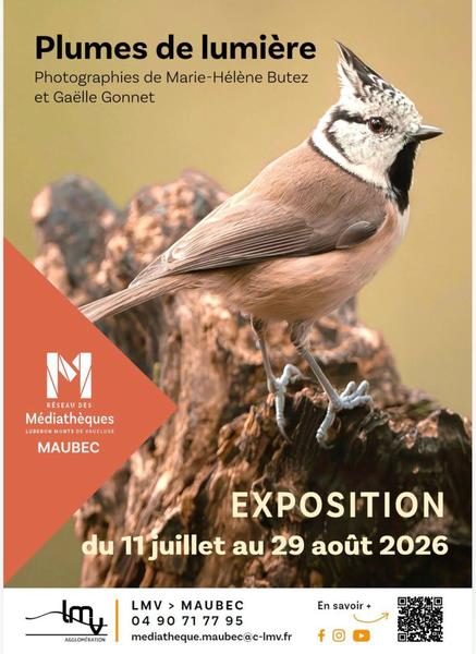 Plumes de lumière - Exposition_Maubec