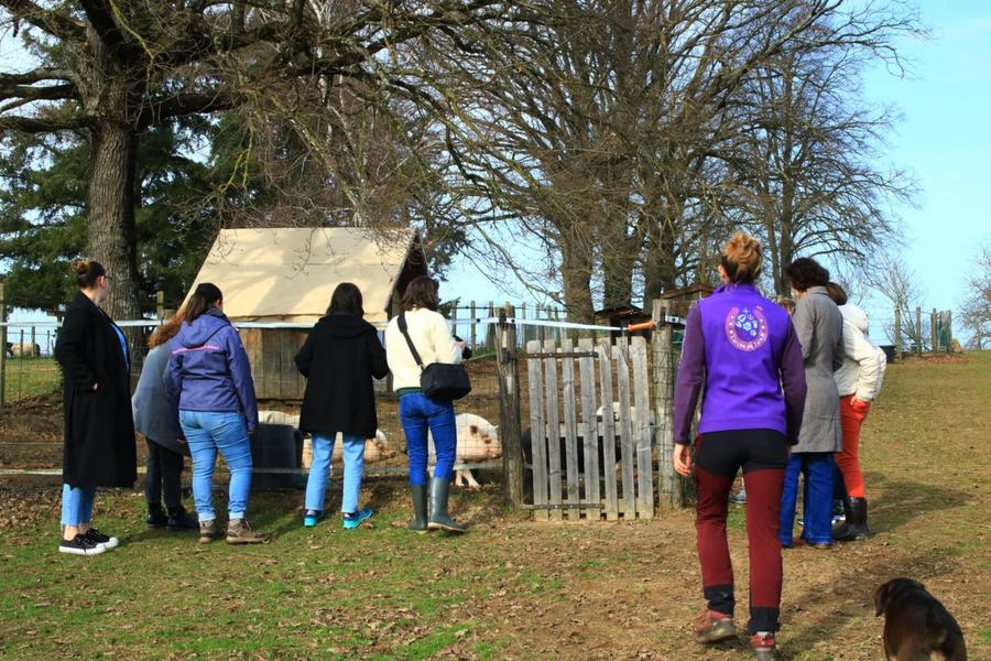 Visite de l'Arche de Julie
