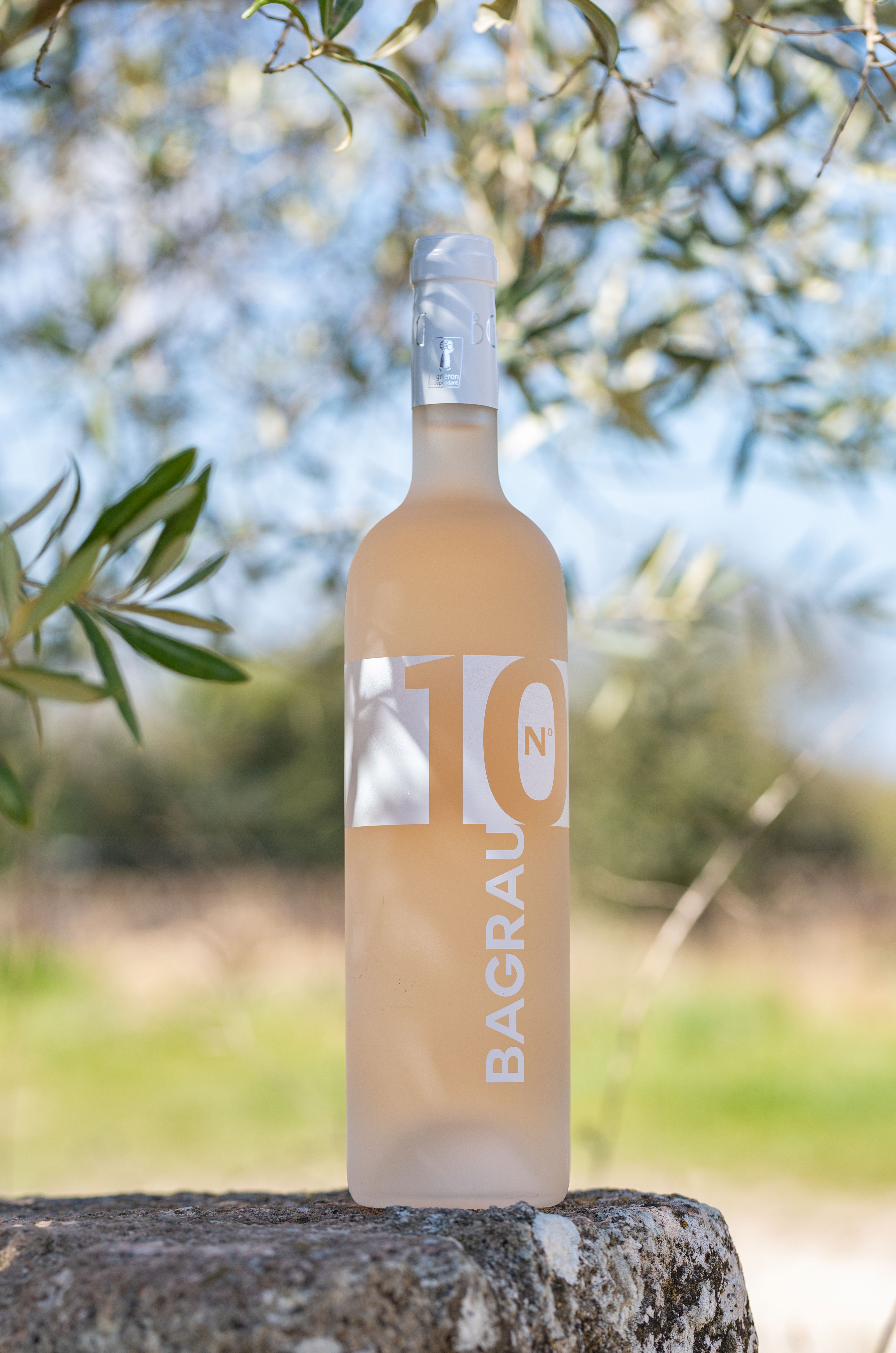 Domaine Bagrau, Rognes - photo 5