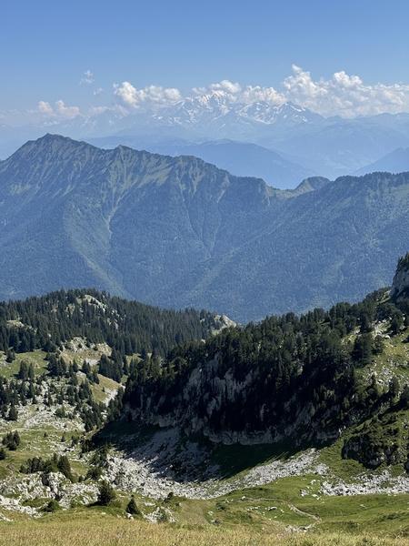 Randonnée pédestre : La Petite Sambuy via la piste forestière_Faverges-Seythenex