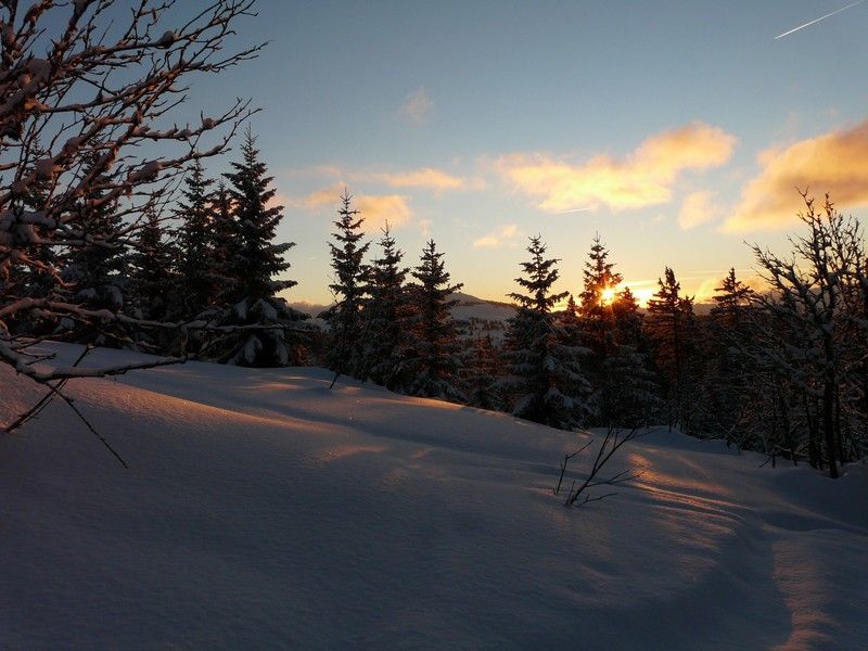 Alpages enneigés du Mont-Bisanne