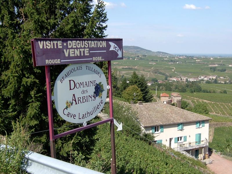 Domaine des Arbins - gîte