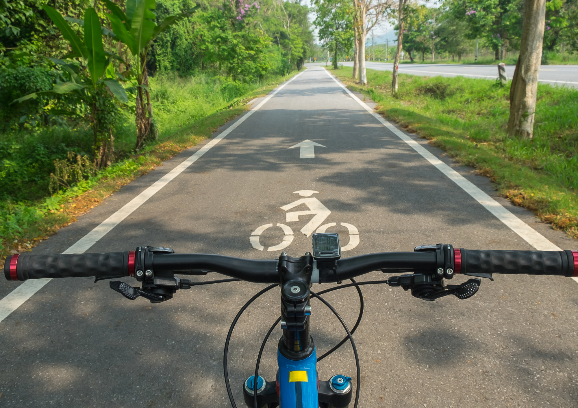 Initiation Vélo - Semaine Verte Tournon
