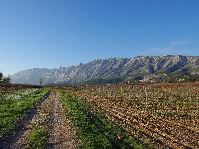Le sentier des vignerons de Puyloubier — photo 3