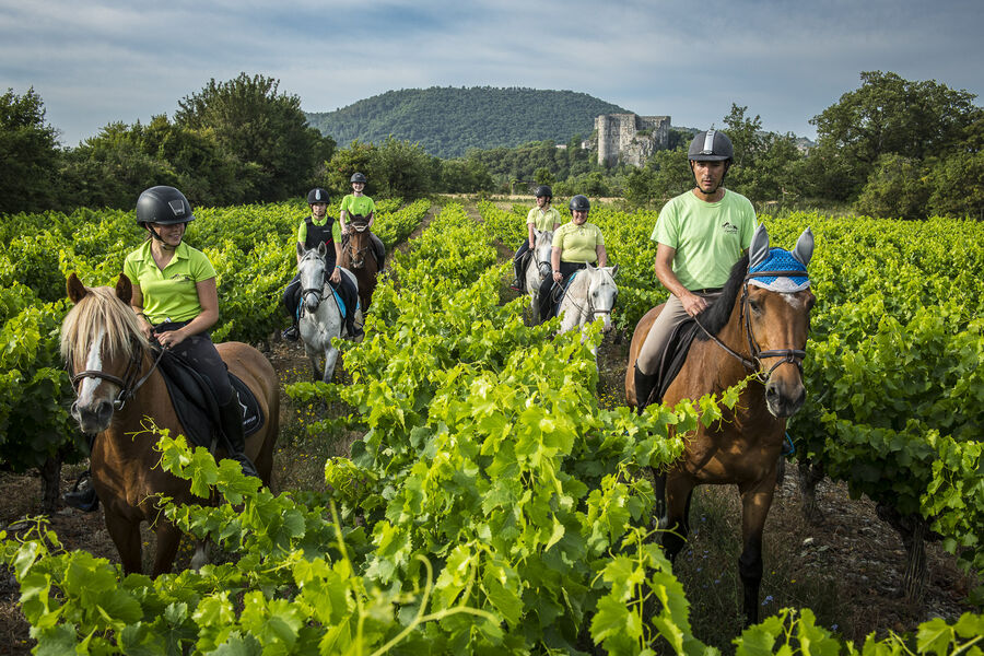 Outings on horseback with Alba Équitation