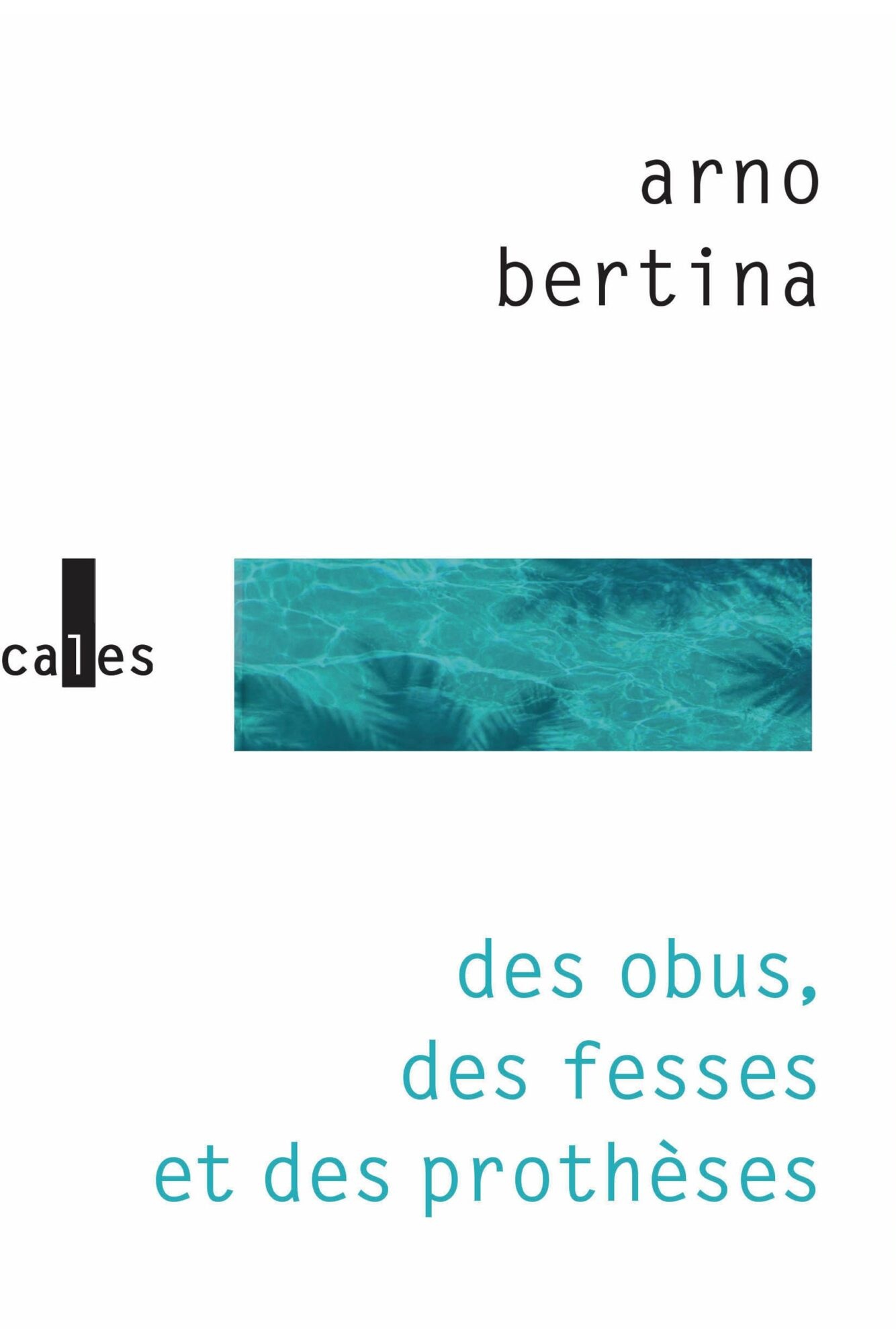 Arno Bertina : rencontre littéraire