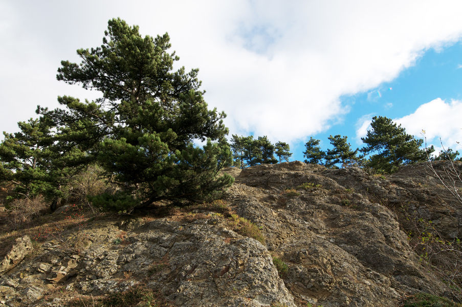 Le Puy de Marmant