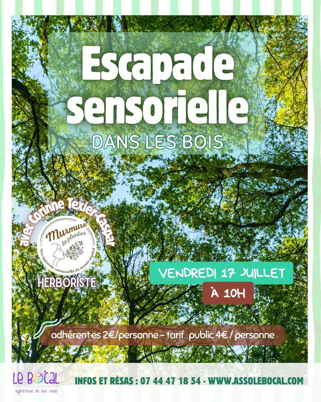 Escapade sensorielle dans les bois