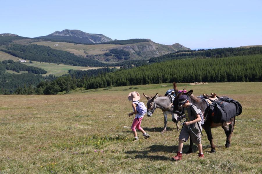 Massif Central Randonnées +
