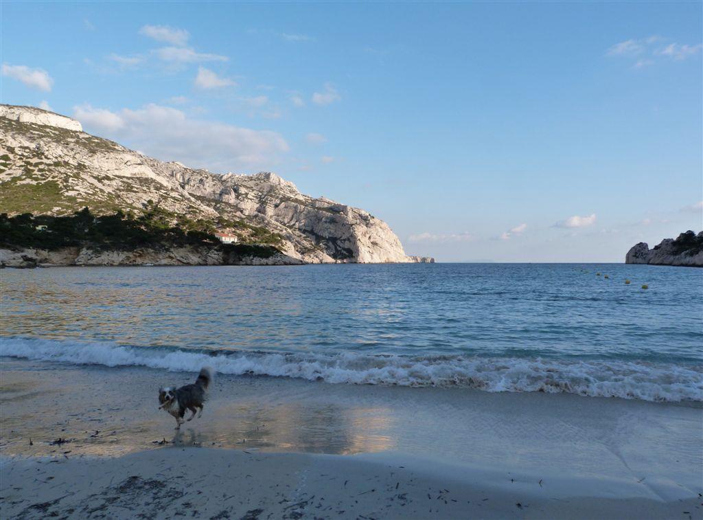 La Ribartille, Roquefort-la-Bédoule - photo 32
