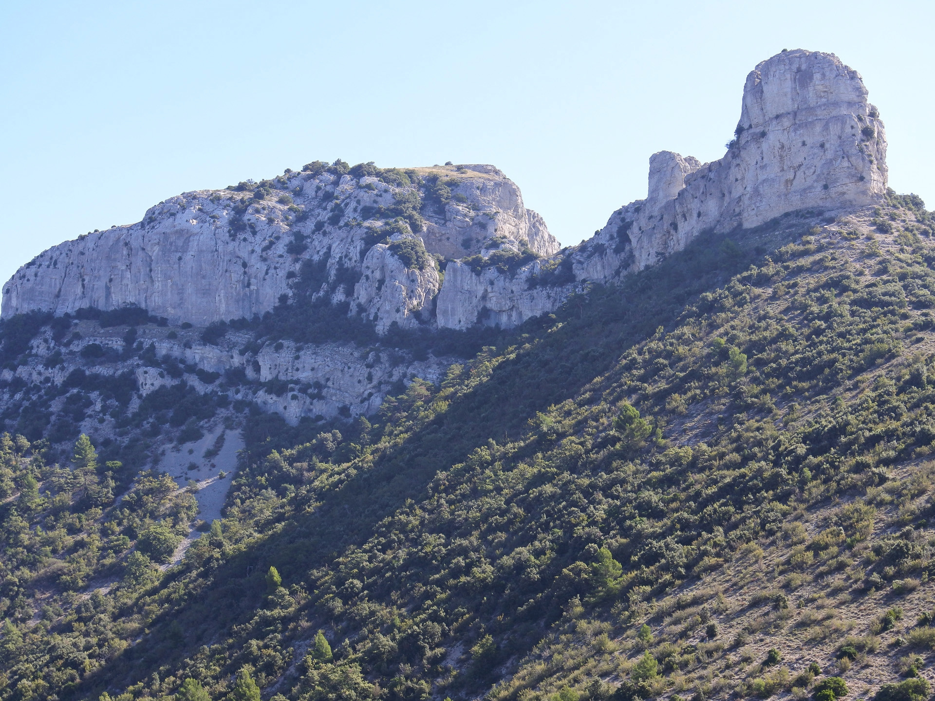 Le vignoble de la Sainte-Baume, un terroir sacré