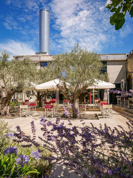 Balade découverte des plantes du jardin des senteurs dans le cadre de Rendez-vous aux jardins_Montélimar