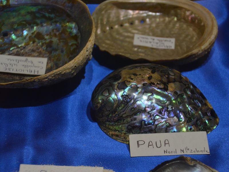 Musée Extraordinaire