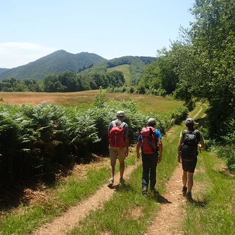 Randonnée pédestre