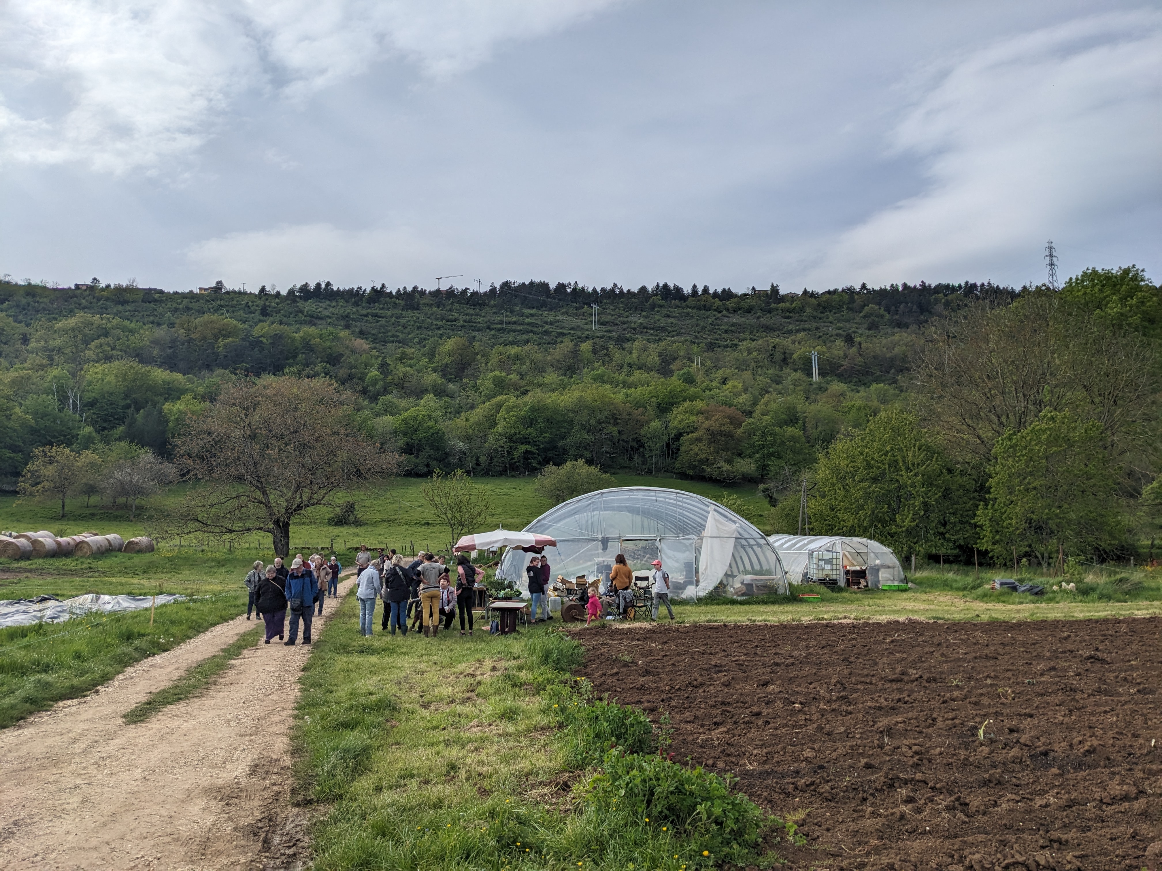 Paysage ferme maraîchère