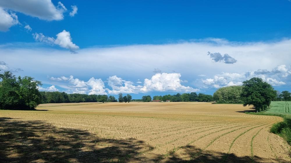 Circuit VTT-VTC n°26 (noir)_Tour de St Didier d'Aussiat