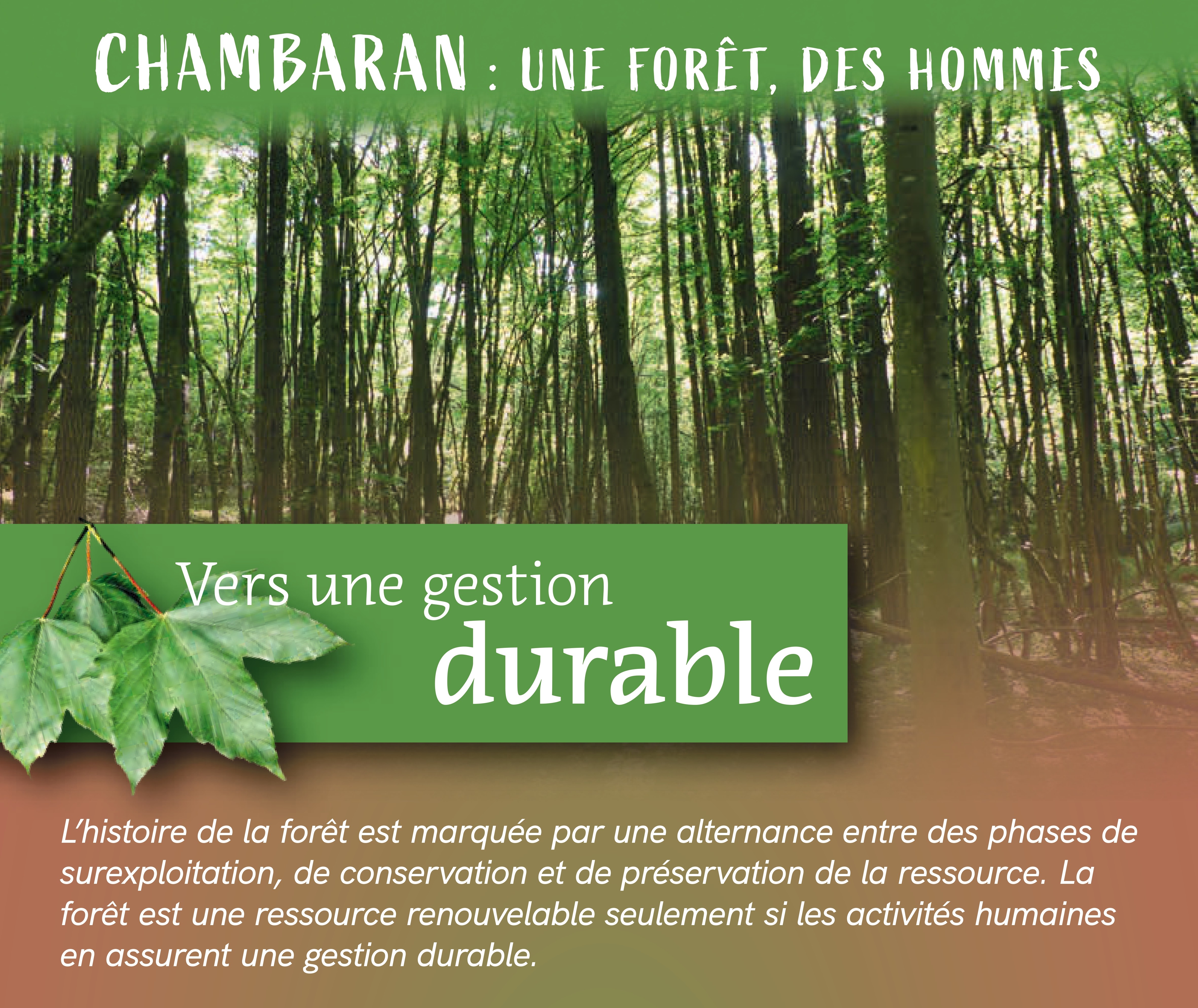 Chambaran, une forêt, des hommes_Vinay