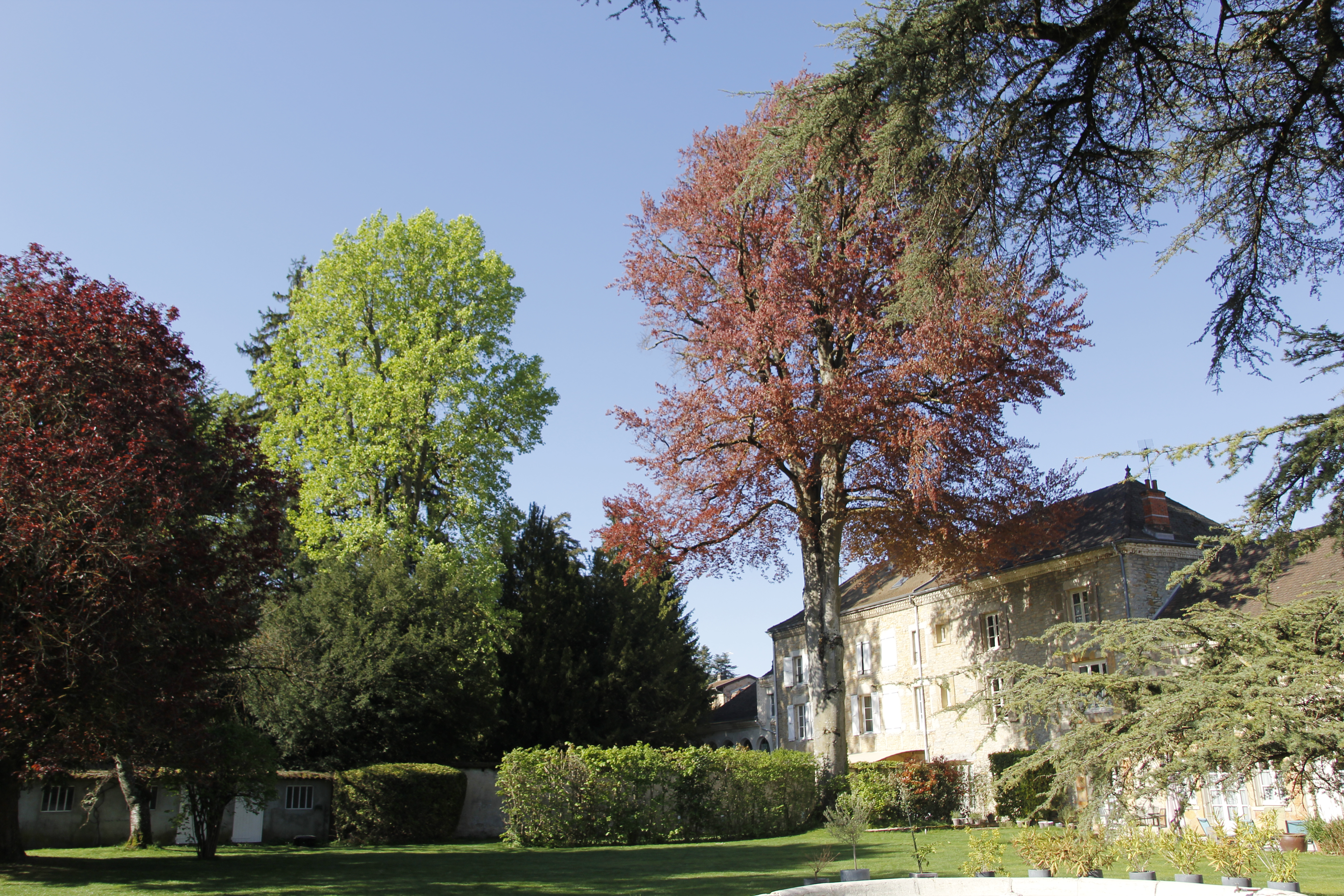 La maison d'hôtes et son parc
