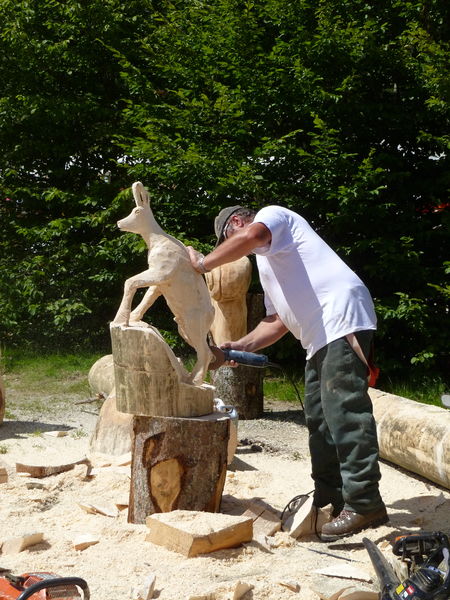 Concours de bucherons