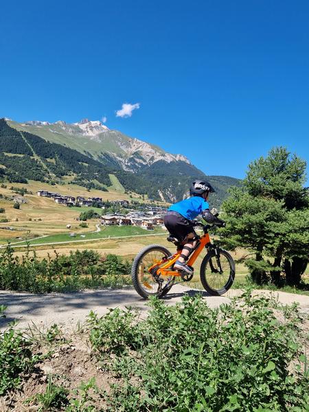 Espace VTT Slopestyle des forts_Aussois