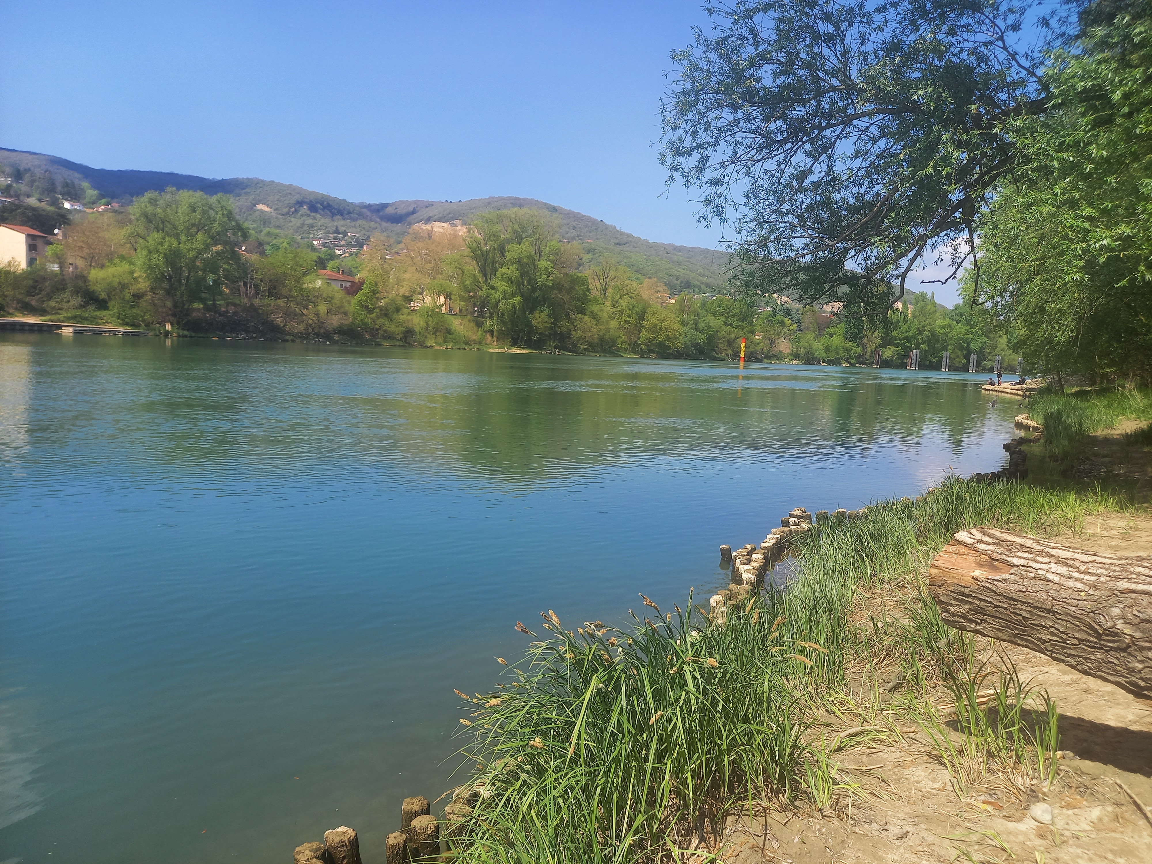 Pêcher la Saône à Rochetaillé