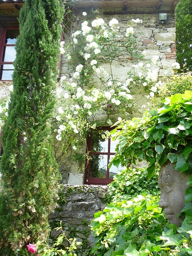 Chambre d'hôtes le Théron - Rose